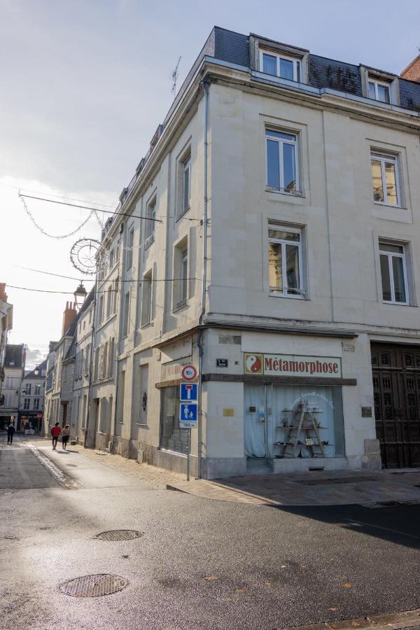 Appartement Le Moliere Vue Sur Loire ソミュール エクステリア 写真